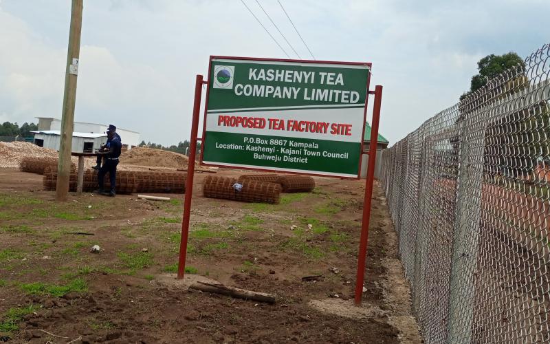 Buhweju, Kashenyi Tea Factory