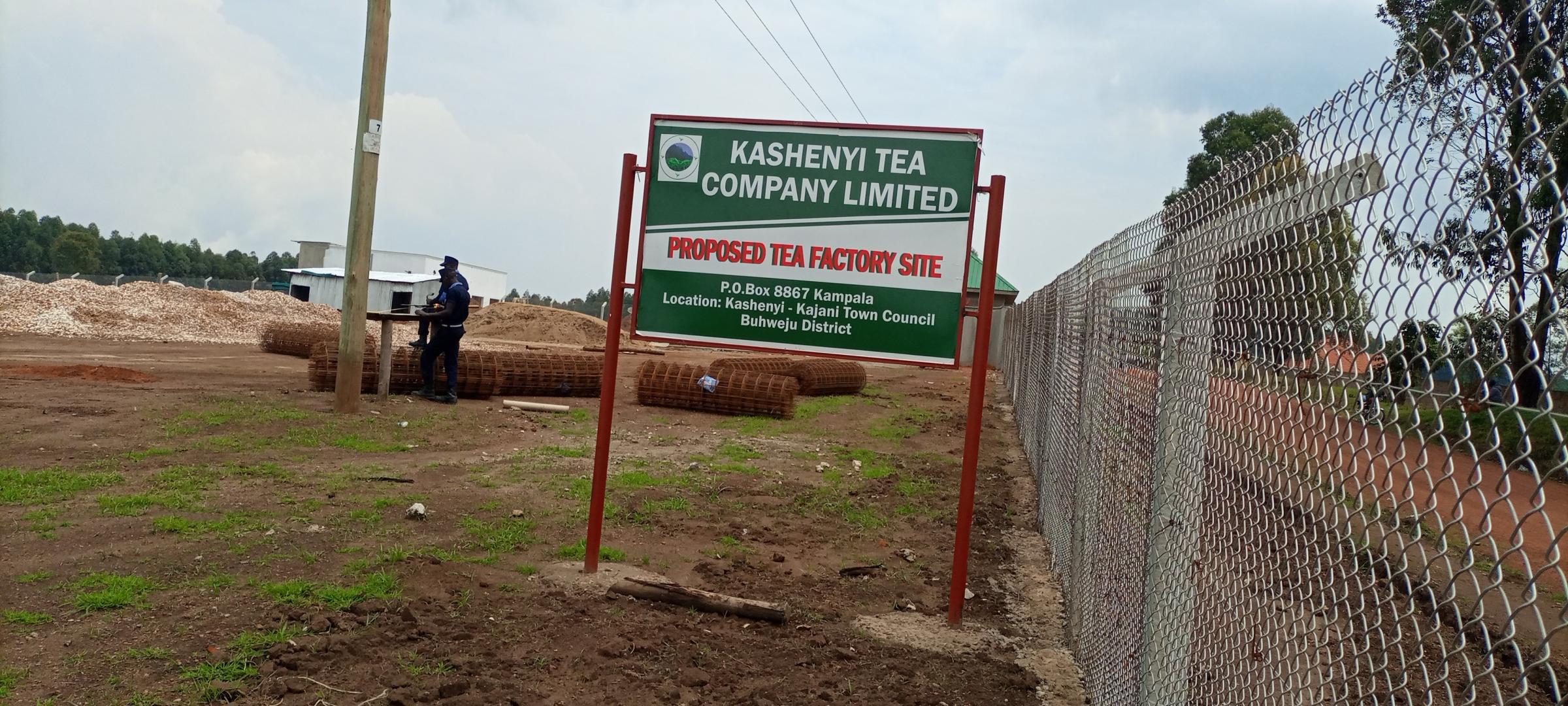 Buhweju, Kashenyi Tea Factory